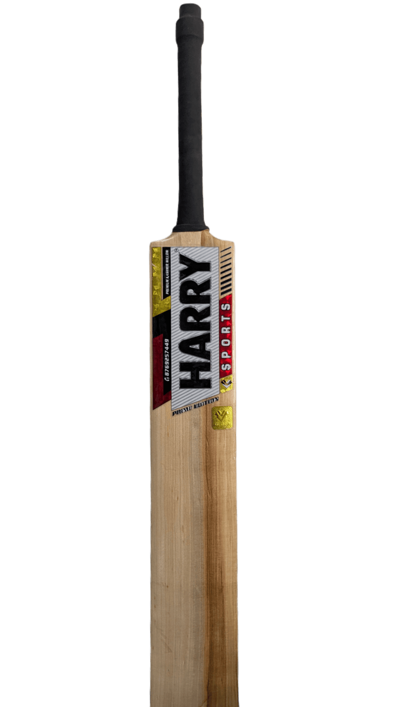 The Game Changer Bat For Hard Tennis @ HARRY-SPORTS